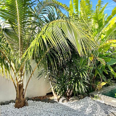 Villa Le Yucca 974 By J&V à Saint Pierre Extérieur photo