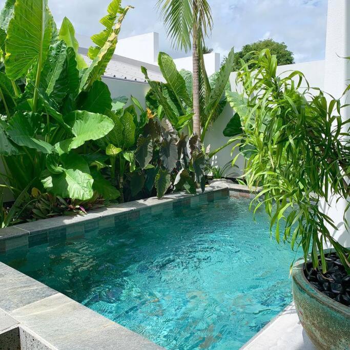 Villa Le Yucca 974 By J&V à Saint Pierre Extérieur photo