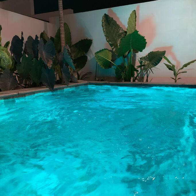 Villa Le Yucca 974 By J&V à Saint Pierre Extérieur photo