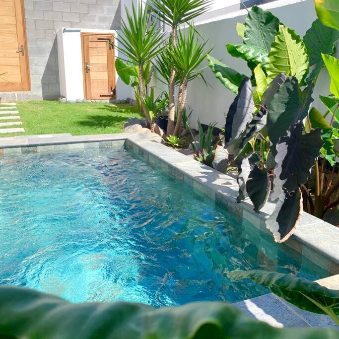 Villa Le Yucca 974 By J&V à Saint Pierre Extérieur photo