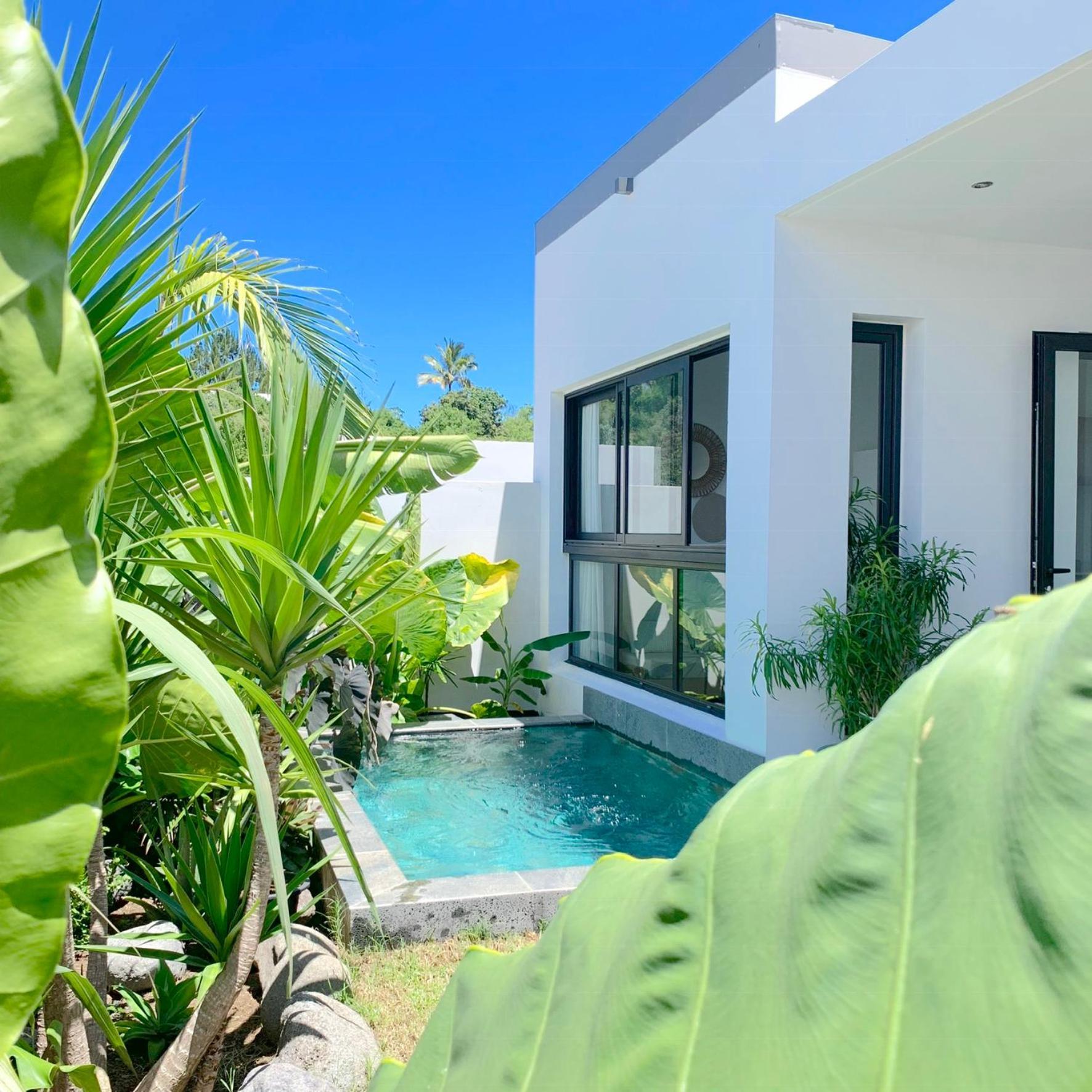 Villa Le Yucca 974 By J&V à Saint Pierre Extérieur photo