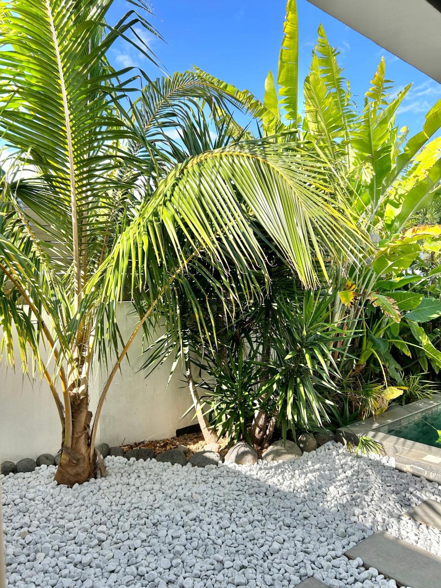 Villa Le Yucca 974 By J&V à Saint Pierre Extérieur photo
